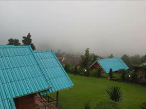 thumbnail: General view