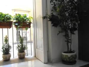 thumbnail: 100046113.jpg
