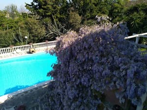 thumbnail: Pool