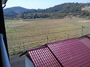 thumbnail: View from room