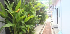 thumbnail: Garden