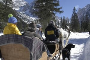 thumbnail: Sledding