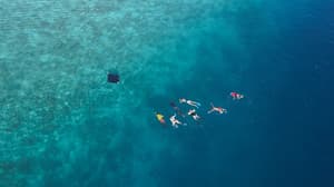 thumbnail: Beach