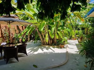 thumbnail: Garden