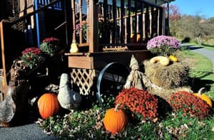 thumbnail: Garden