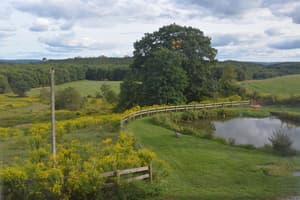 thumbnail: Property grounds