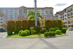 thumbnail: Garden