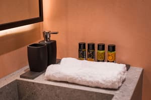 thumbnail: Bathroom amenities