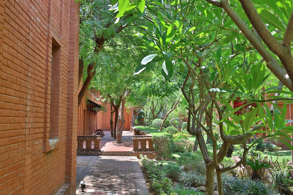 Garden view