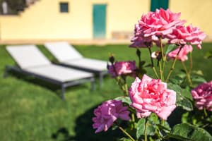 thumbnail: Garden