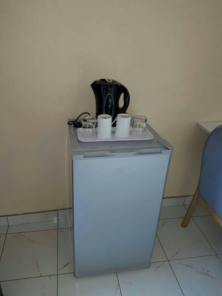 Mini-refrigerator