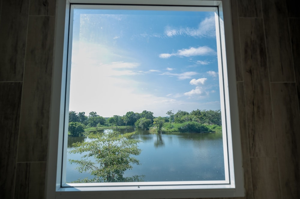 Lake view