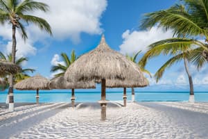 thumbnail: Beach