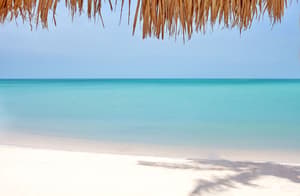 thumbnail: Beach