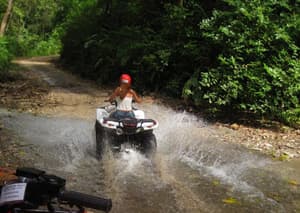 thumbnail: Ecotours