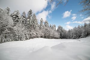 thumbnail: Snow and ski sports