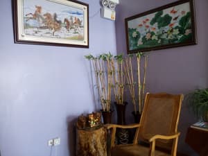 thumbnail: Reception