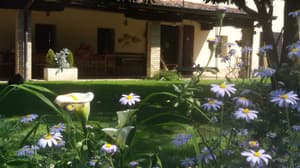 thumbnail: Garden