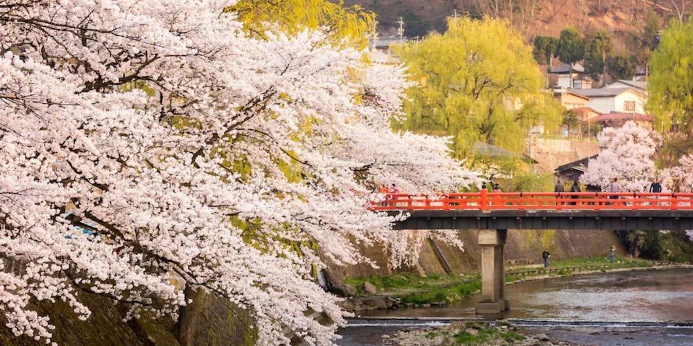 Land view from property