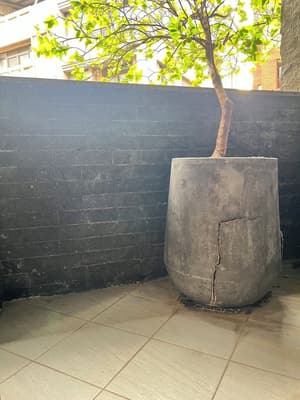 thumbnail: Terrace/patio