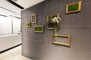 thumbnail: Hallway
