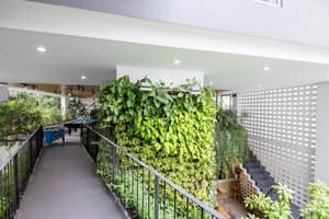 thumbnail: Garden view