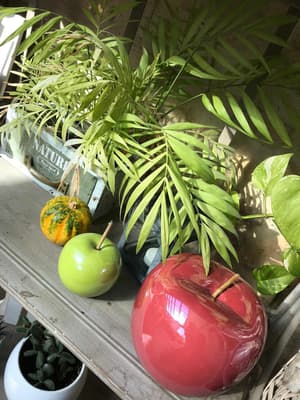 thumbnail: Terrace/patio