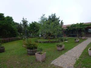 thumbnail: General view