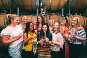 thumbnail: Vineyard