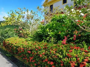 thumbnail: Garden