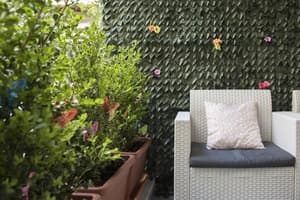 thumbnail: Terrace/patio