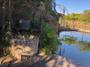 thumbnail: Property grounds