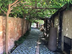 thumbnail: Property grounds