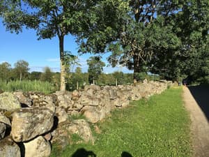 thumbnail: Property grounds