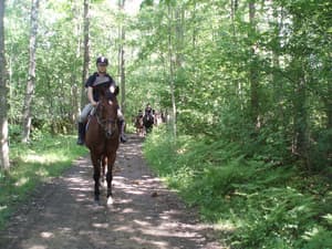 thumbnail: Horseback riding