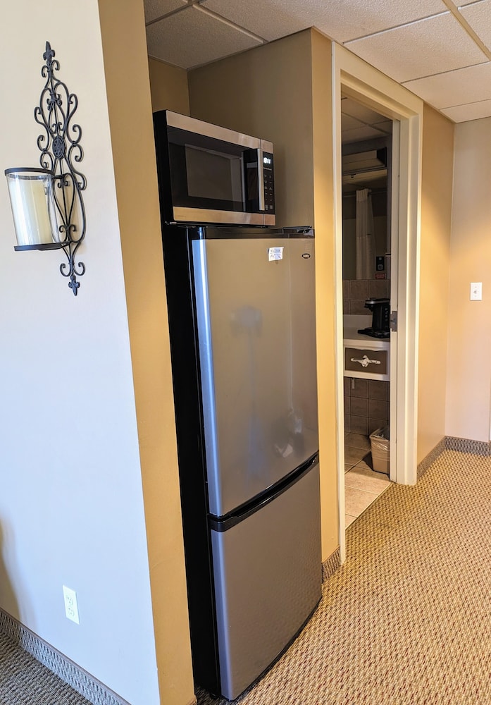 Mini-refrigerator