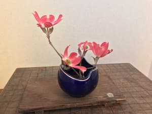 thumbnail: Garden
