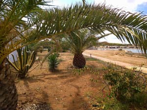 thumbnail: View from property