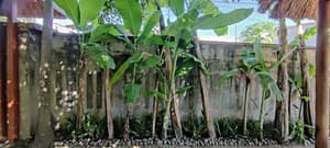 thumbnail: View from property