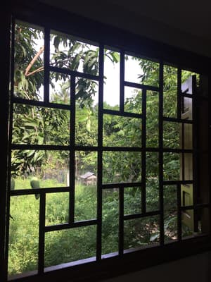 thumbnail: View from property
