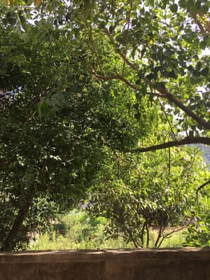 thumbnail: View from property