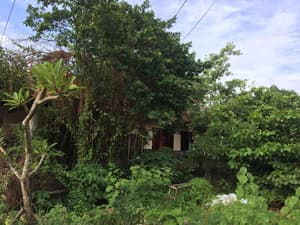 thumbnail: View from property