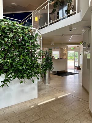 thumbnail: Reception