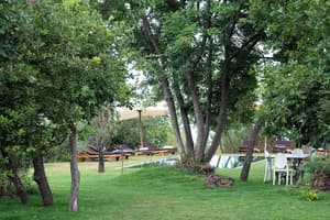 thumbnail: Garden view