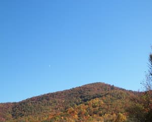 thumbnail: 1259O06L.jpg