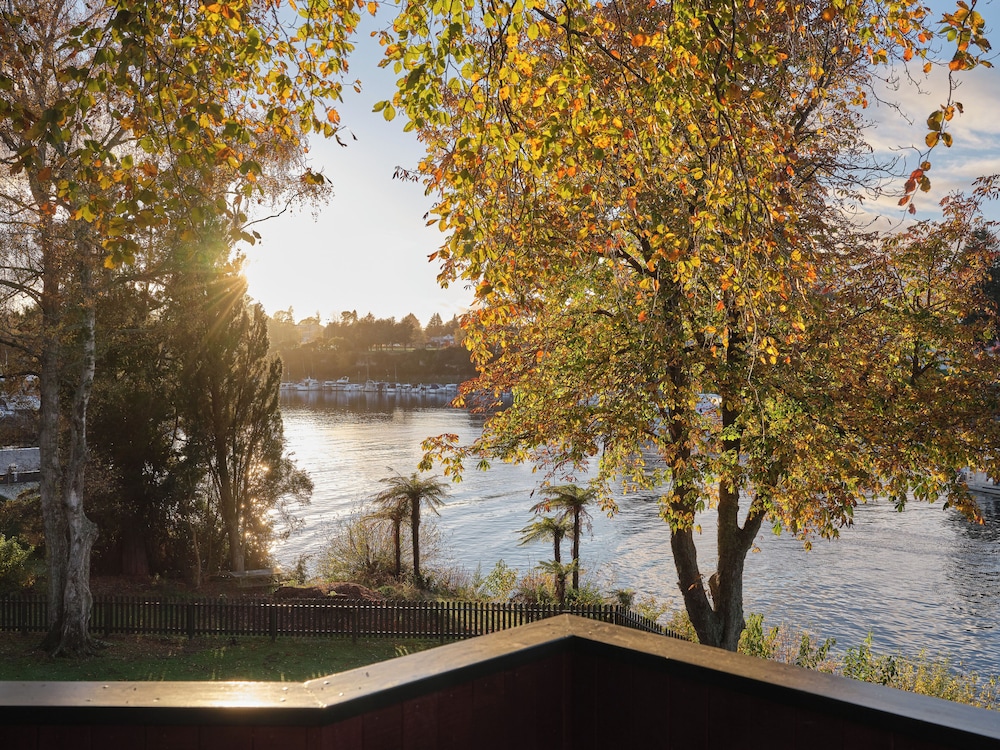 Lake view