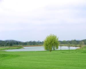 thumbnail: A355O12L.jpg