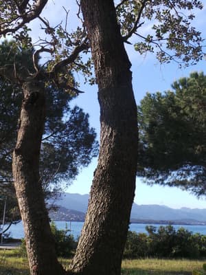 thumbnail: General view
