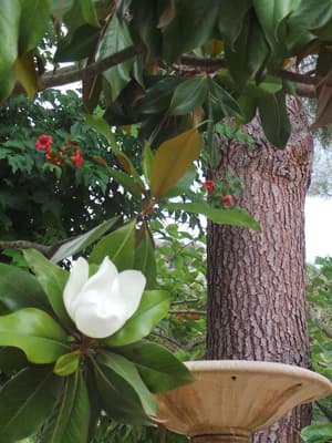 thumbnail: General view