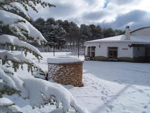 thumbnail: Property grounds